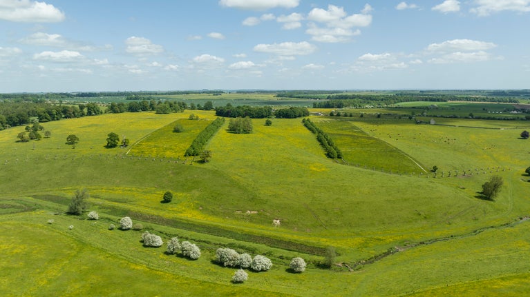 Bridgeman landscape restoration